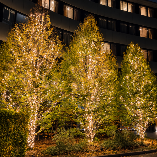 24V Connectable Outdoor String Lights – White & Warm White