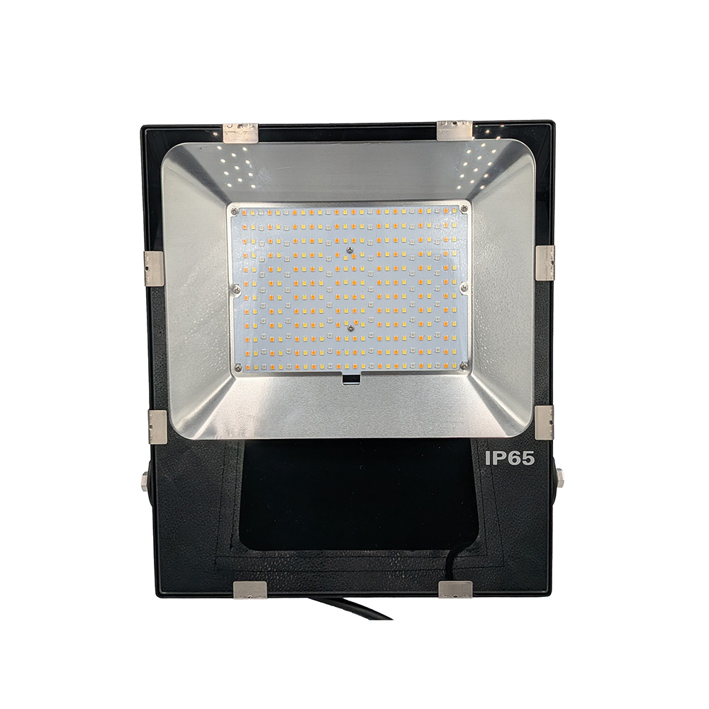 Outdoor Flood Lights